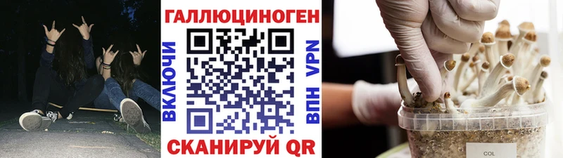 Псилоцибиновые грибы MAGIC MUSHROOMS  сколько стоит  Барыш 